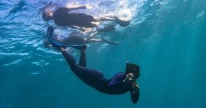 snorkling i Havana2