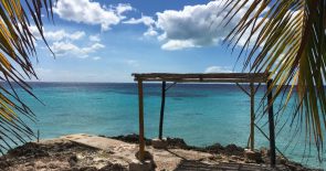 Day trip to Playa Larga